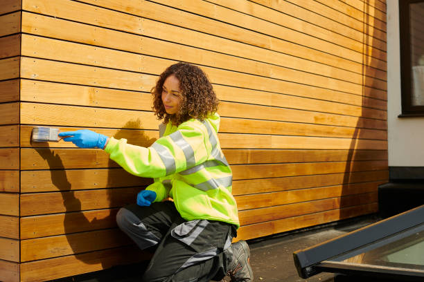 Best Vinyl Siding Installation  in Ciborne, LA