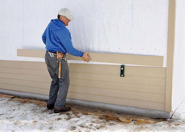 Best Stone Veneer Siding  in Ciborne, LA