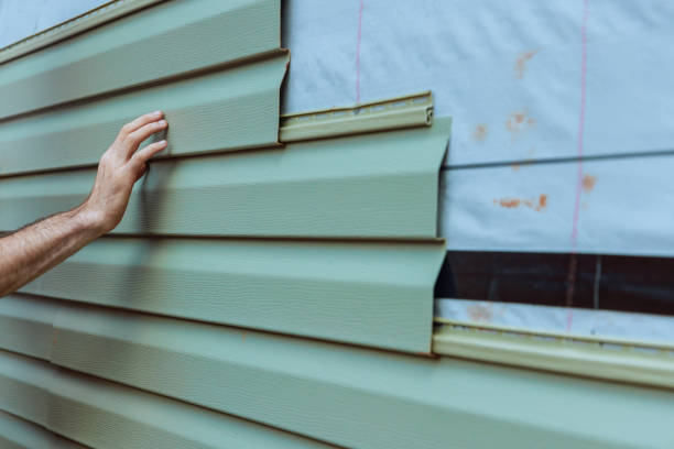 Best Brick Veneer Siding  in Ciborne, LA